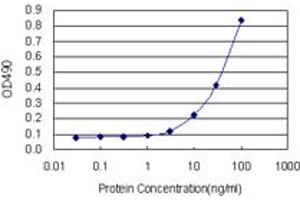 Sandwich ELISA detection sensitivity ranging from 3 ng/mL to 100 ng/mL. (SFTPC (人) Matched Antibody Pair)