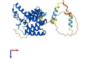 RHBDD1 Protein (AA 1-315) (His tag)