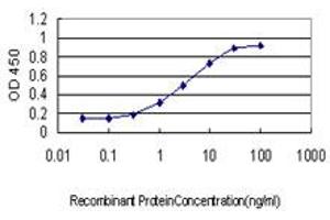 ELISA image for anti-Sterol Regulatory Element Binding Transcription Factor 1 (SREBF1) (AA 801-900) antibody (ABIN562994)
