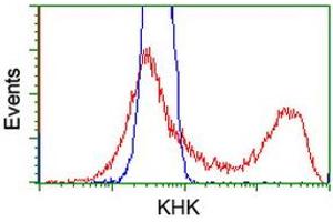 HEK293T cells transfected with either RC202424 overexpress plasmid (Red) or empty vector control plasmid (Blue) were immunostained by anti-KHK antibody (ABIN2453195), and then analyzed by flow cytometry. (Ketohexokinase 抗体)