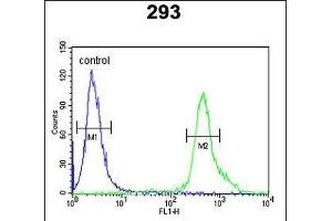 TP73 Antibody (Center) (ABIN652829 and ABIN2842541) flow cytometric analysis of 293 cells (right histogram) compared to a negative control cell (left histogram). (Tumor Protein p73 抗体  (AA 288-317))