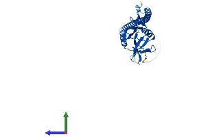 Protein Structure (PS) image for C-Type Lectin Domain Family 1, Member A (CLEC1A) (AA 1-269) protein (His tag) (ABIN7558977)
