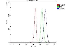 Flow Cytometry analysis of 293T cells using anti-ZBTB48 antibody (ABIN7600854). (ZBTB48 抗体  (AA 24-664))