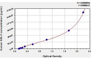 Typical Standard Curve (NINJ1 ELISA 试剂盒)