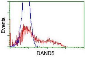 Image no. 2 for anti-DAN Domain Family, Member 5 (DAND5) (AA 23-189) antibody (ABIN1491236) (DAND5 抗体  (AA 23-189))