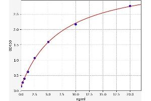 Typical standard curve (TARBP2 ELISA 试剂盒)