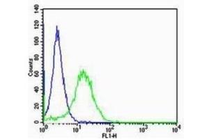 NIH/3T3 cells probed with Rabbit Anti-RAGE Polyclonal Antibody  Alexa Fluor 488 Conjugated Secondary Antibody. (RAGE 抗体  (AA 151-250))
