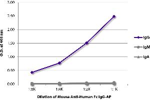 ELISA plate was coated with purified human IgG, IgM, and IgA. (小鼠 anti-人 IgG (Fc Region) Antibody (Alkaline Phosphatase (AP)))