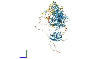 Protein Structure (PS) image for Peroxisomal Biogenesis Factor 1 (PEX1) (AA 1-1283) protein (His tag) (ABIN7554908)