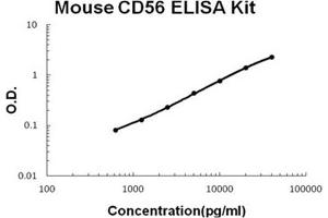 Mouse CD56/NCAM1 PicoKine ELISA Kit standard curve (CD56 ELISA 试剂盒)