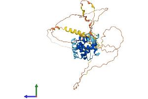 Protein Structure (PS) image for Cdk5 and Abl Enzyme Substrate 2 (CABLES2) (AA 1-476) protein (His tag) (ABIN7559551)