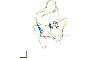 AlphaFold protein structure predicition of Human Recombinant DMRTC2 Protein, UniprotID Q8IXT2