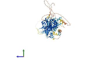 Protein Structure (PS) image for Ubiquitin Specific Peptidase 44 (USP44) (AA 1-712) protein (His tag) (ABIN7555962)