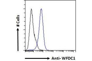 ABIN190885 Flow cytometric analysis of paraformaldehyde fixed A431 cells (blue line), permeabilized with 0. (WFDC1 抗体  (C-Term))
