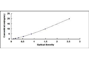 Typical standard curve (CRYbB2 ELISA 试剂盒)