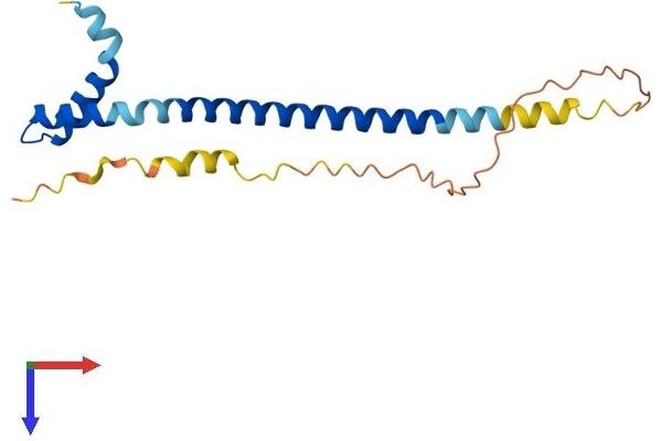DYDC2 Protein (AA 1-177) (His tag)