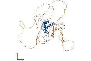 Protein Structure (PS) image for Calcium Binding tyrosine-(Y)-phosphorylation Regulated (CABYR) (AA 1-493) protein (His tag) (ABIN7552829)