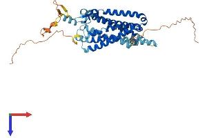 Motilin Receptor (MLNR) (AA 1-412) protein (His tag)