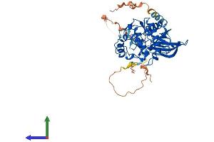 AlphaFold protein structure predicition of Mouse Recombinant Sbk1 Protein, UniprotID Q8QZX0 (SBK1 Protein (AA 1-417) (His tag))