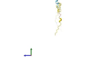 Protein Structure (PS) image for Protein Kinase (CAMP-Dependent, Catalytic) Inhibitor beta (PKIB) (AA 1-78) protein (Fc Tag) (ABIN7548566)