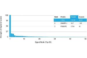 Analysis of Protein Array containing >19,000 full-length human proteins using Chromogranin A Recombinant Mouse Monoclonal Antibody (rCHGA/413) Z- and S- Score: The Z-score represents the strength of a signal that a monoclonal antibody (Monoclonal Antibody) (in combination with a fluorescently-tagged anti-IgG secondary antibody) produces when binding to a particular protein on the HuProtTM array. (Recombinant Chromogranin A 抗体)