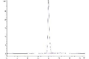 The purity of Human DLK1 is greater than 95 % as determined by SEC-HPLC. (DLK1 Protein (AA 24-303) (His tag))