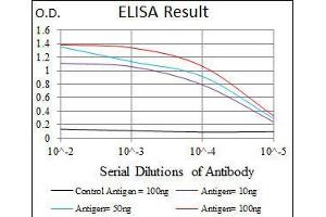 Black line: Control Antigen (100 ng), Purple line: Antigen(10 ng), Blue line: Antigen (50 ng), Red line: Antigen (100 ng), (T Antigen (AA 218-352) 抗体)