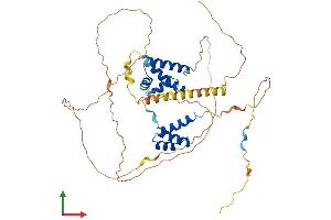 Protein Structure (PS) image for POU Class 3 Homeobox 1 (POU3F1) (AA 1-451) protein (His tag) (ABIN7550903)