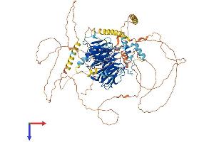 DCAF5 Protein (AA 1-942) (His tag)