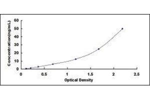 Typical standard curve (TLR5 ELISA 试剂盒)