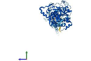 Protein Structure (PS) image for UDP-N-Acetyl-alpha-D-Galactosamine:polypeptide N-Acetylgalactosaminyltransferase 13 (GalNAc-T13) (GALNT13) (AA 1-556) protein (His tag) (ABIN7559298)