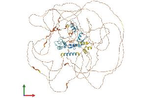 Protein Structure (PS) image for Zinc Finger Protein GLI1 (GLI1) (AA 1-1106) protein (His tag) (ABIN7554016)