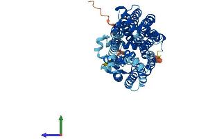 Protein Structure (PS) image for Solute Carrier Family 2 (Facilitated Glucose Transporter), Member 7 (SLC2A7) (AA 1-513) protein (His tag) (ABIN7562798)