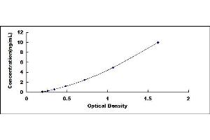 Typical standard curve (Sestrin 2 ELISA 试剂盒)