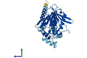 Protein Structure (PS) image for Abhydrolase Domain Containing 6 (ABHD6) (AA 1-336) protein (His tag) (ABIN7559714)
