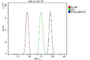 Flow Cytometry analysis of HL-60 cells using anti- GATA2 antibody (ABIN7600745).