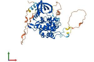 Protein Structure (PS) image for STE20-Related Kinase Adaptor alpha (STRADA) (AA 1-431) protein (His tag) (ABIN7557289)
