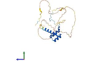Protein Structure (PS) image for Homeobox A6 (HOXA6) (AA 1-233) protein (His tag) (ABIN7548487)