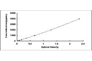 ELISA image for Insulin-Like Growth Factor Binding Protein 2, 36kDa (IGFBP2) ELISA Kit (ABIN415500)