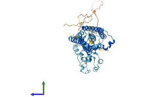 Protein Structure (PS) image for Sphingomyelin Synthase 1 (SGMS1) (AA 1-419) protein (His tag) (ABIN7564736)