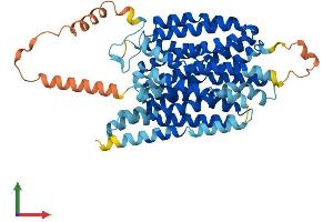 Protein Structure (PS) image for Solute Carrier Family 43, Member 3 (SLC43A3) (AA 1-502) protein (His tag) (ABIN7561965)