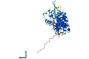 Protein Structure (PS) image for Cyclin-Dependent Kinase 10 (CDK10) (AA 1-360) protein (His tag) (ABIN7553301)