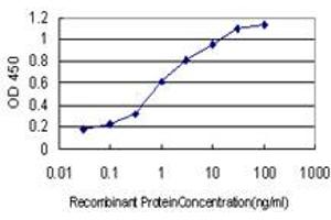 Detection limit for recombinant GST tagged HPCAL4 is approximately 0. (HPCAL4 抗体  (AA 1-191))