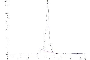 The purity of Mouse ECSCR is greater than 95 % as determined by SEC-HPLC.