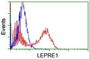 Image no. 3 for anti-Leucine Proline-Enriched Proteoglycan (Leprecan) 1 (LEPRE1) antibody (ABIN1499129) (LEPRE1 抗体)
