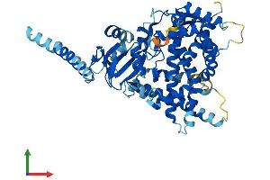 Protein Structure (PS) image for Cytochrome P450, Family 26, Subfamily A, Polypeptide 1 (CYP26A1) (AA 1-497) protein (His tag) (ABIN7546656)