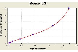 Diagramm of the ELISA kit to detect Mouse 1 gGwith the optical density on the x-axis and the concentration on the y-axis.