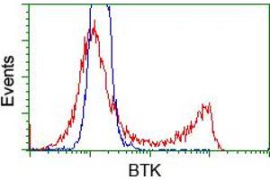 Image no. 4 for anti-Bruton Agammaglobulinemia tyrosine Kinase (BTK) antibody (ABIN1496973) (BTK 抗体)