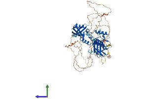 Protein Structure (PS) image for Grainyhead-Like 1 (GRHL1) (AA 1-618) protein (His tag) (ABIN7564845)