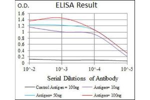 ELISA image for anti-Glutamate Receptor, Ionotropic, AMPA 2 (GRIA2) (AA 652-807) antibody (ABIN1843747) (GRIA2 抗体  (AA 652-807))